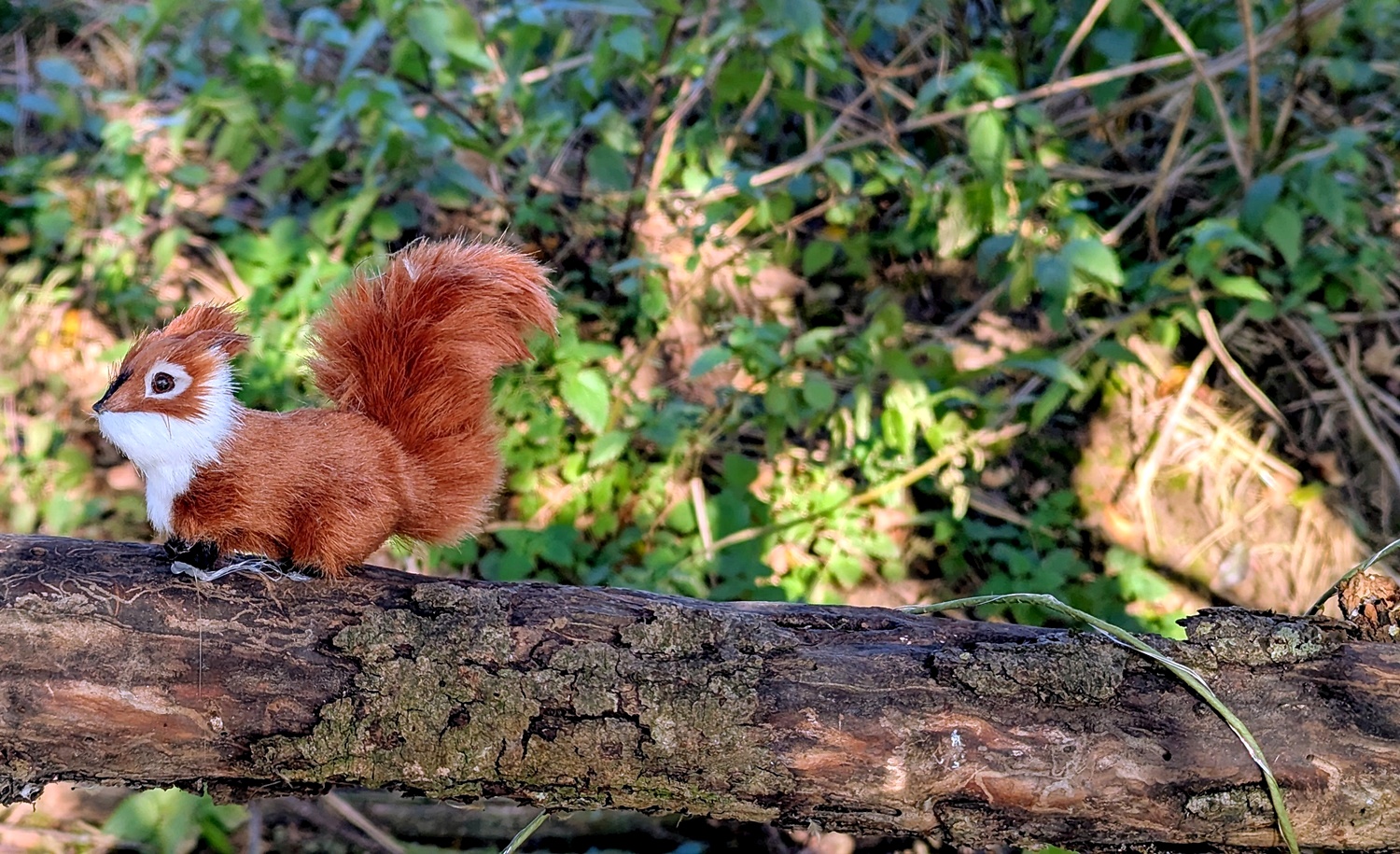 Westhofener Wichtelweg Rheinhessen 